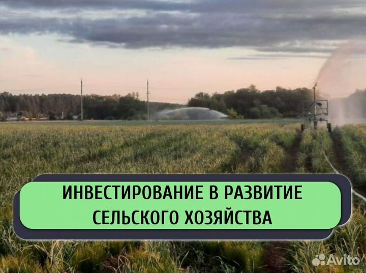 Привлекаем инвестиции в действующий бизнес