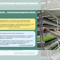 Натуральные соки в заморозке — доставка и производство отлажены, Сумы