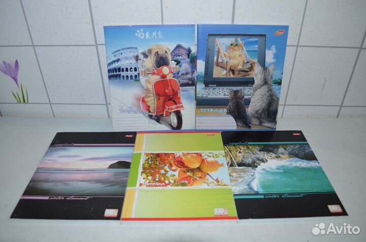 Общие тетради (96л) / Блокноты