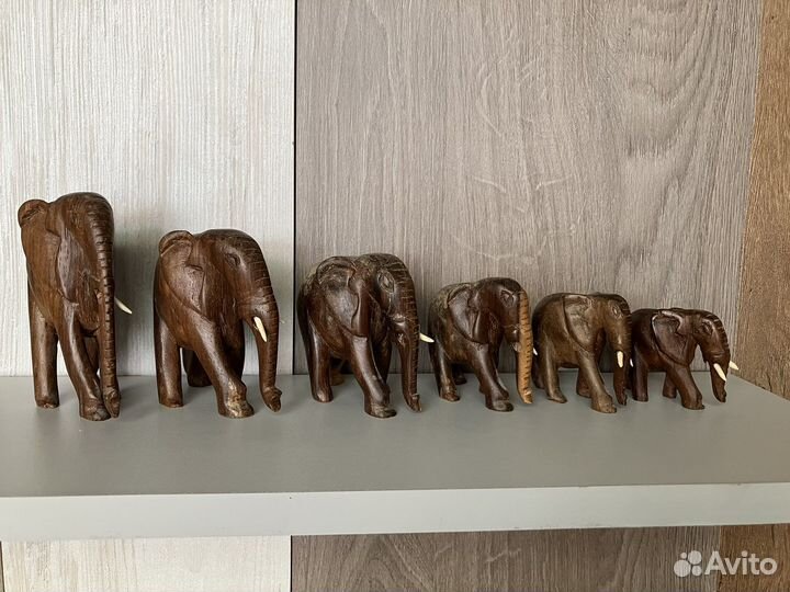 Слоники, семья Африка