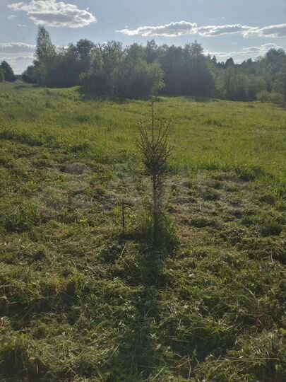 Участок 16 сот. (ИЖС)