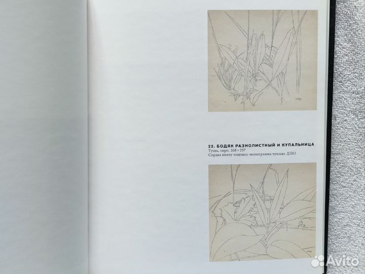 Книга трав Дмитрия Плавинского