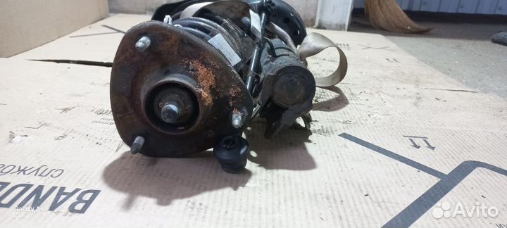 Амортизатор Honda Stepwgn RK1 передний