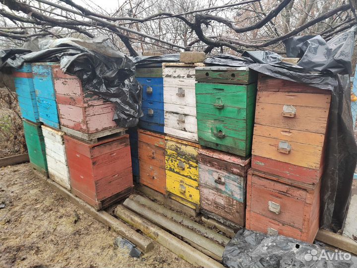 Ульи для пчел