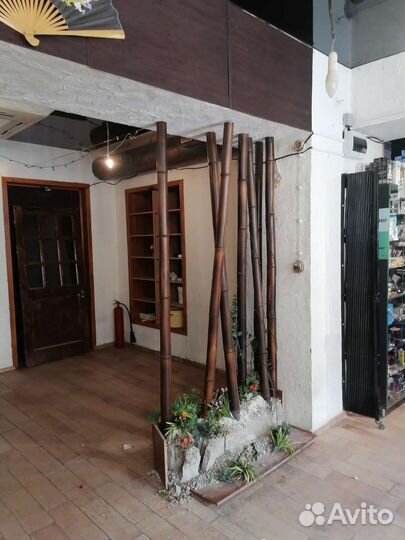 Ствол бамбука