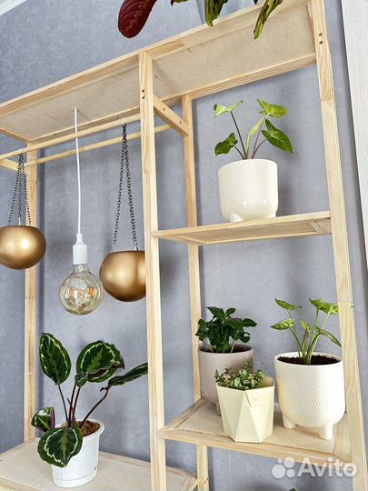 Полки стеллажи для цветов и не только