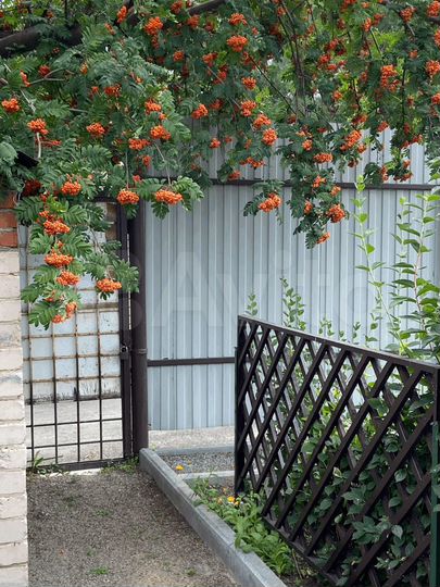 Дача 24 м² на участке 7 сот.