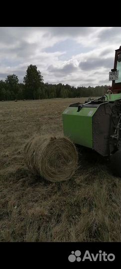 Продам сено, солому в мини рулонах
