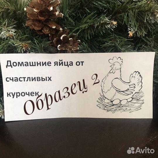 Лотки для куриных яиц