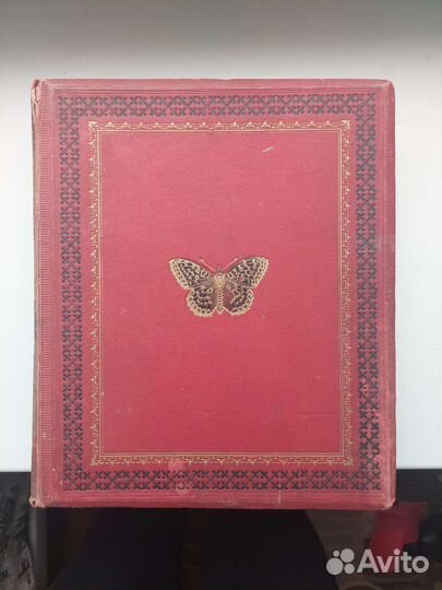 Бабочки Европы. 1883 г. Ф. Берге