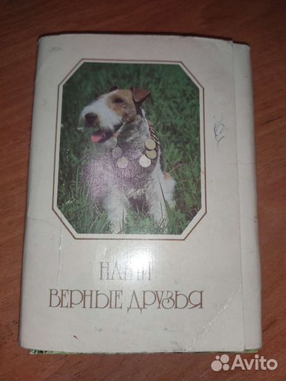 Набор открыток Наши верные друзья 1987 20шт вып 1
