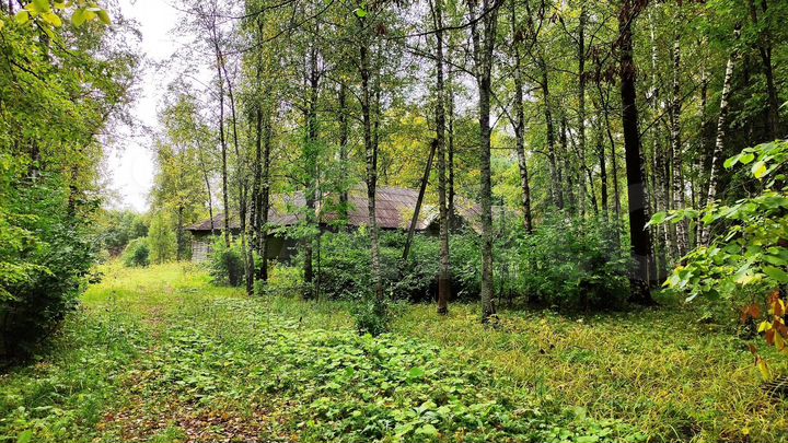 Участок 3 га (промназначения)