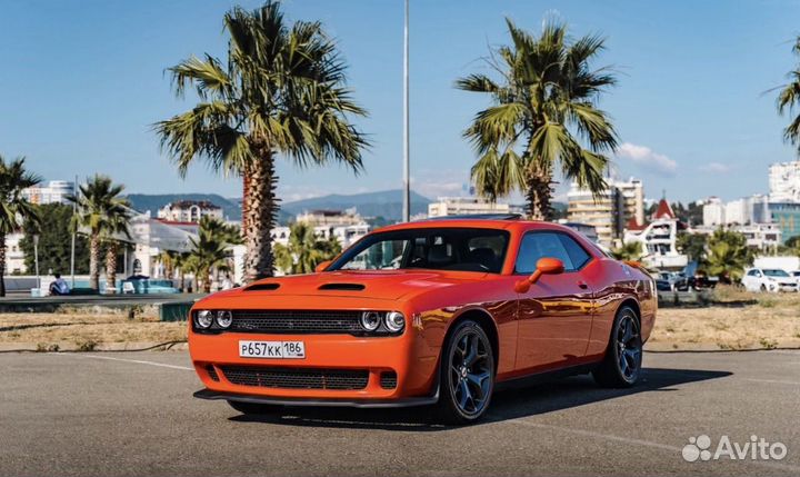 Прокат Dodge Challenger Сочи Адлер