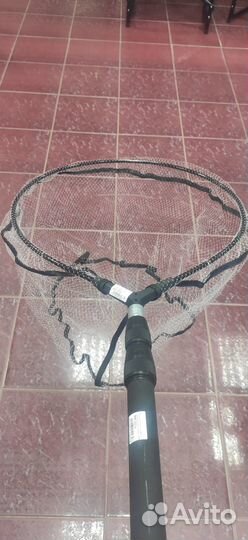 Голова подсачека