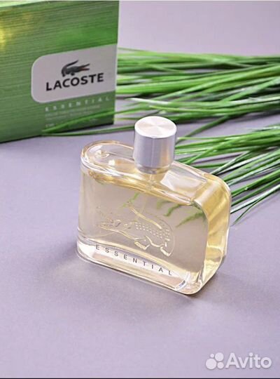 Мужская туалетная вода