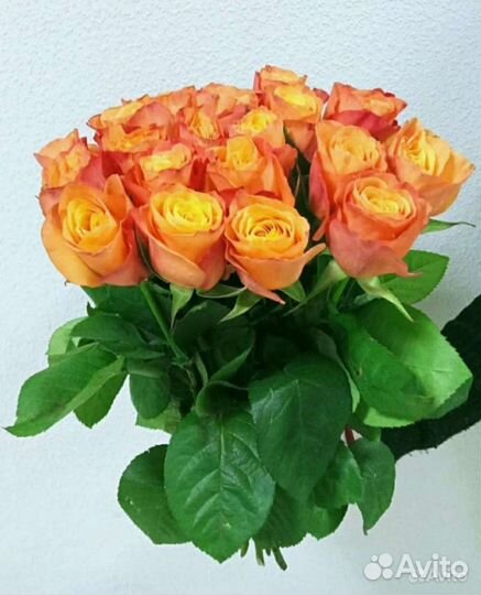 Цветы. Букеты из роз 50 см с доставкой