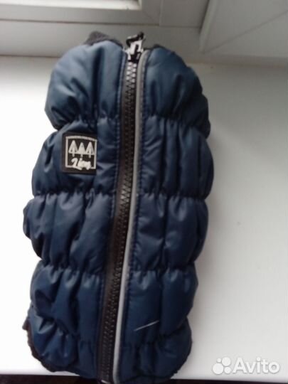 Одежда для маленьких собак чихуа