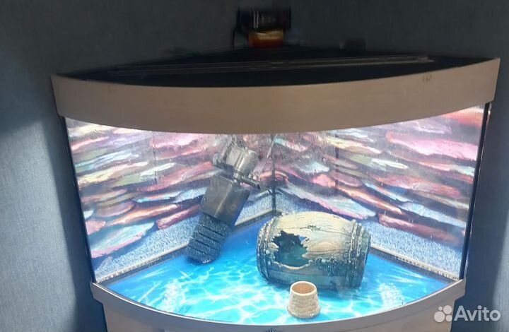 Аквариум