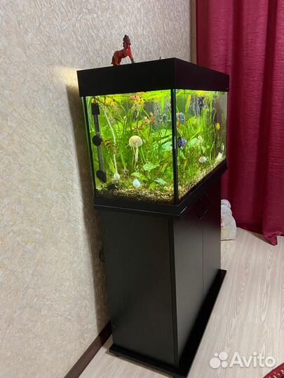 Аквариум