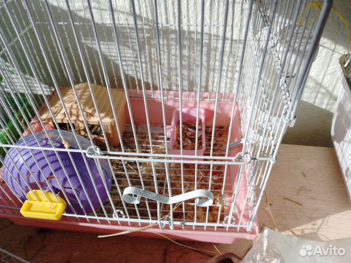 Клетка для грызунов бу