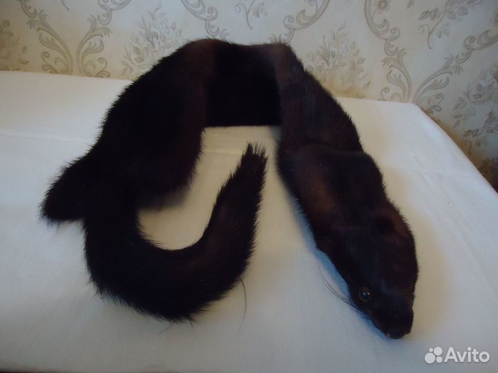 Норковая горжетка