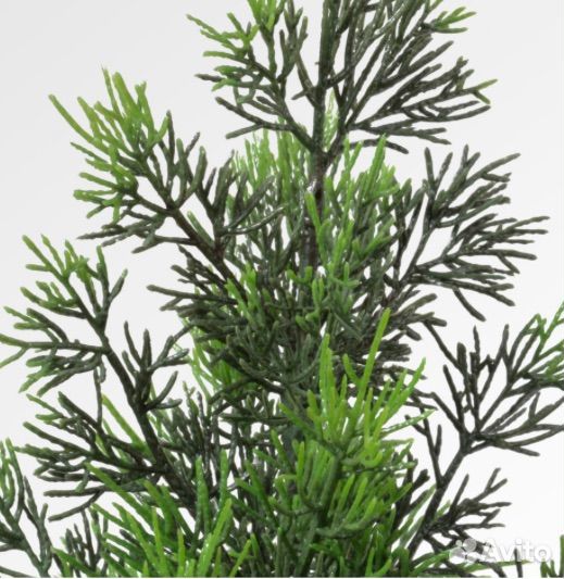 Фейка туя кипарис икеа