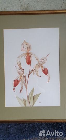 Картина Kiko Peroti