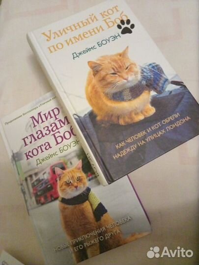 Две книги про дружбу человека и кота