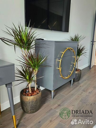 Озеленение квартир / озеленение домов