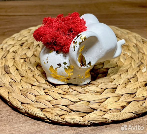 Кашпо слоник со мхом