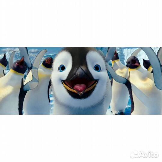 Делай ноги 2 (DVD)