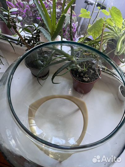 Аквариум круглый 20л с подставкой