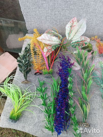 Однотонная аквариум из Орстекла с под ставкой