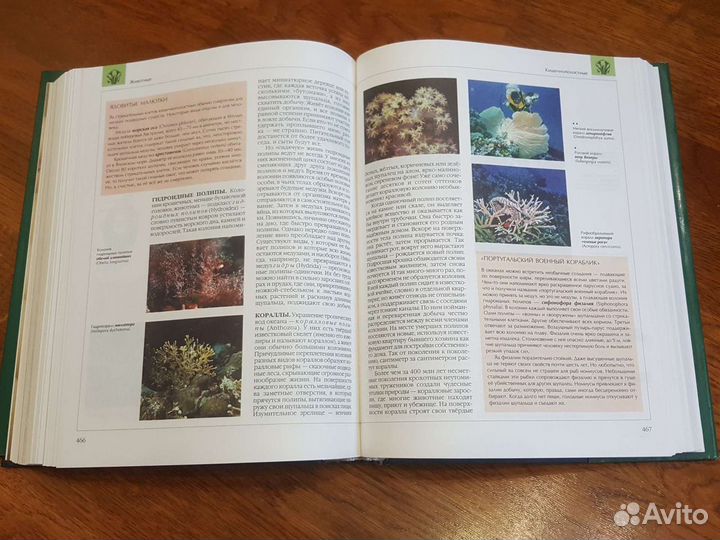 Энциклопедия для детей.Аванта плюс. Биология. Том