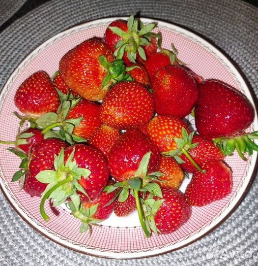 Рассада клубники