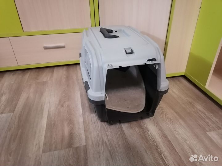 Пти брабансон