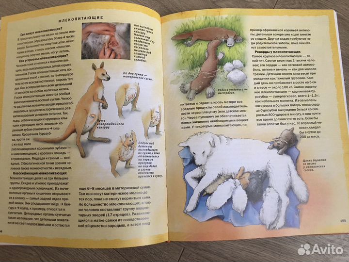 Энциклопедический словарь для детей