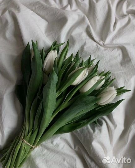 Тюльпаны на 8 марта