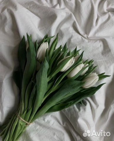 Тюльпаны на 8 марта