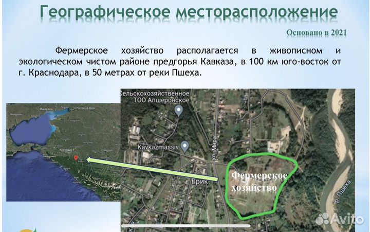 Продается готовый бизнес (ферма)