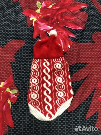 Кофта доя кошки или маленькой собачки