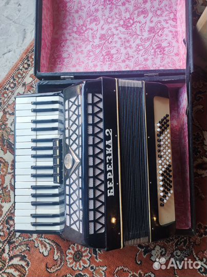 Аккордеон березка 2