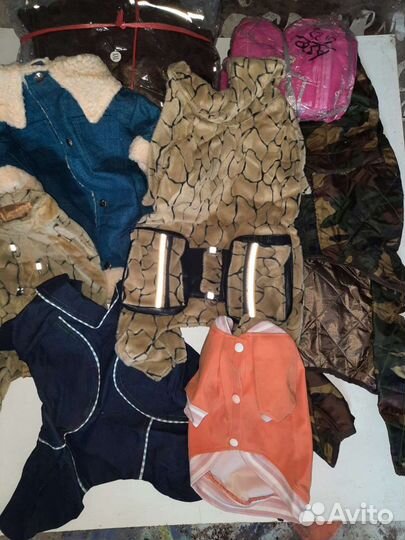 Одежда для собак