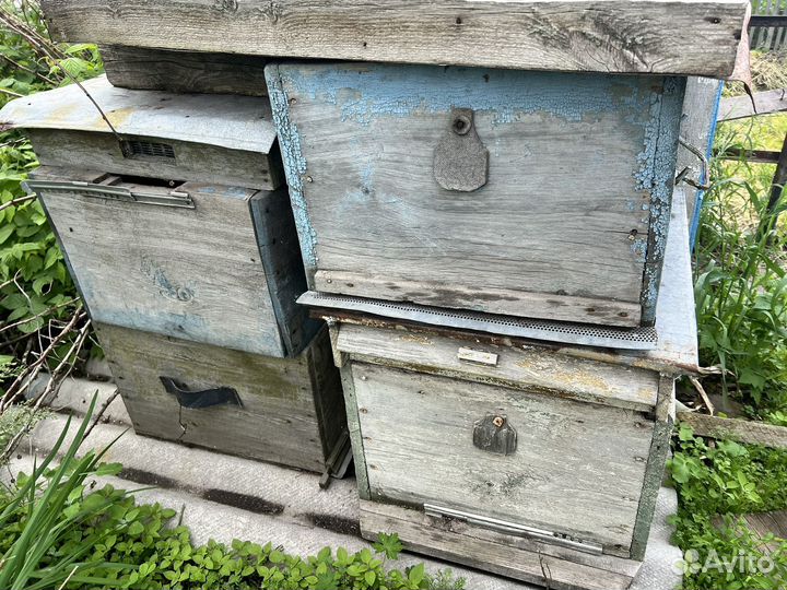 Ульи для пчел, рамки, инвентарь