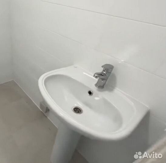 Раковина тюльпан