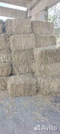 Кипы из соломы.(пшеничная,ржаная,овсяная)