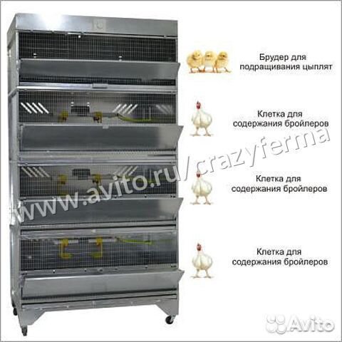 Ферма для выращивания бройлеров