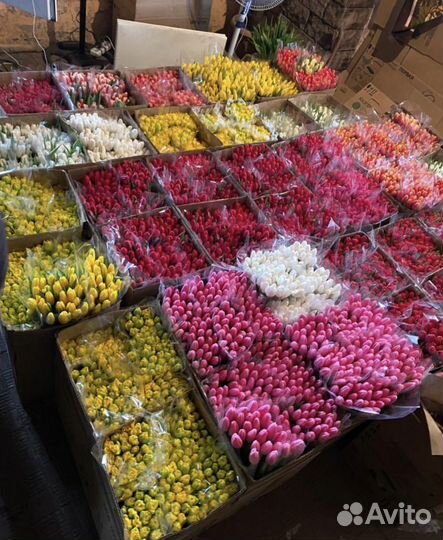 Цветы букеты с доставкой,тюльпаны,8 марта