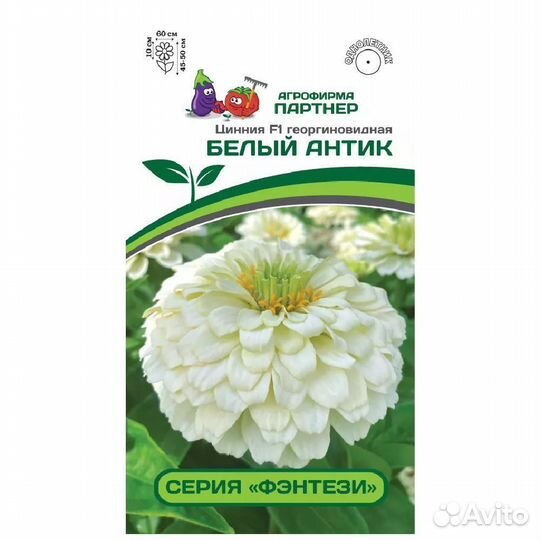 Семена F1 Белый Антик Цинния георгиновидная 