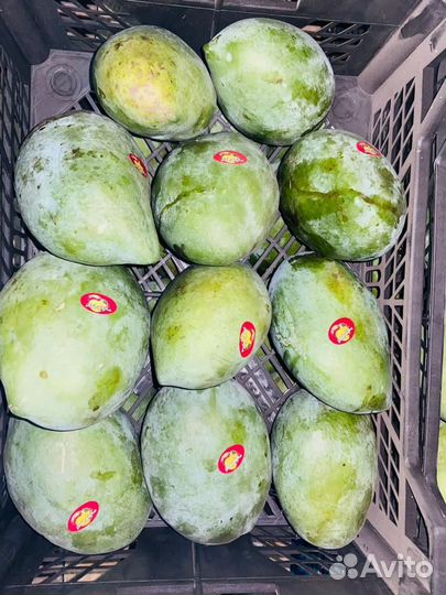 Манго свежий оптом